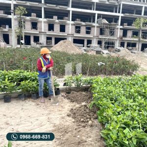 Dự án Korea Town Yên Phong, Bắc Ninh