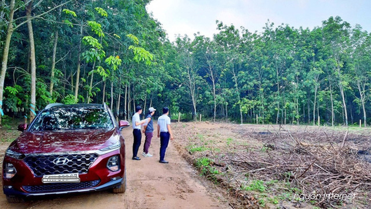 Đầu tư theo đám đông, nhà đầu tư F0 nếm trái đắng, đầu tư đất nền, nhà trong phố