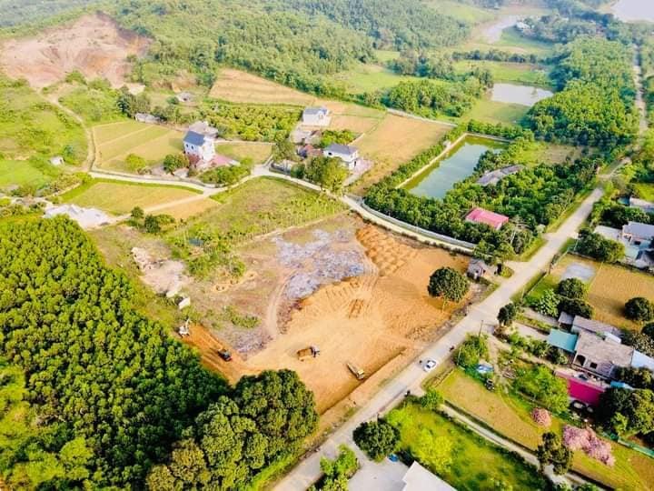 Lỗ sấp mặt vì ôm đất nông nghiệp