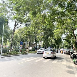 Bán nhà phố võ thị sáu, quận hai bà trưng, Hà Nội